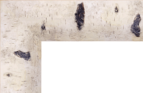 Marco de pintura 