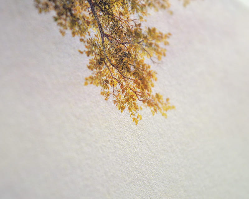 Bamboo, 110g (Washi de bambú suave)  12