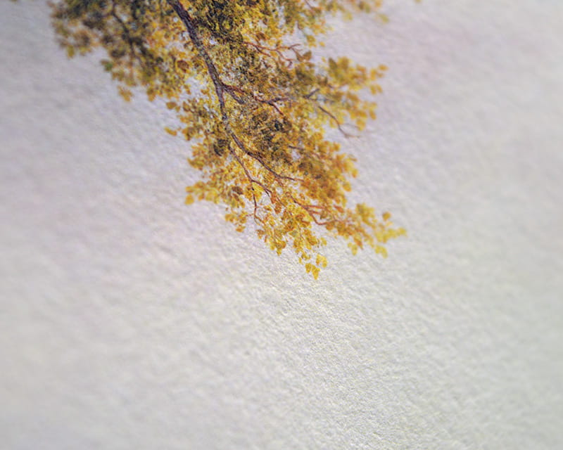 Kozo White, 110g (Papel de fibra de morera, blanco)  14