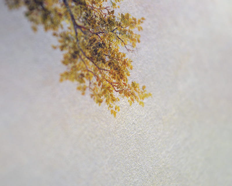 Murakumo Natural, 42g (Papel japonés fino, natural)  14