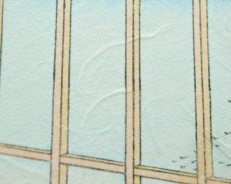Premio Unryu, 165g (Washi con fibras de kozo turbias)  11