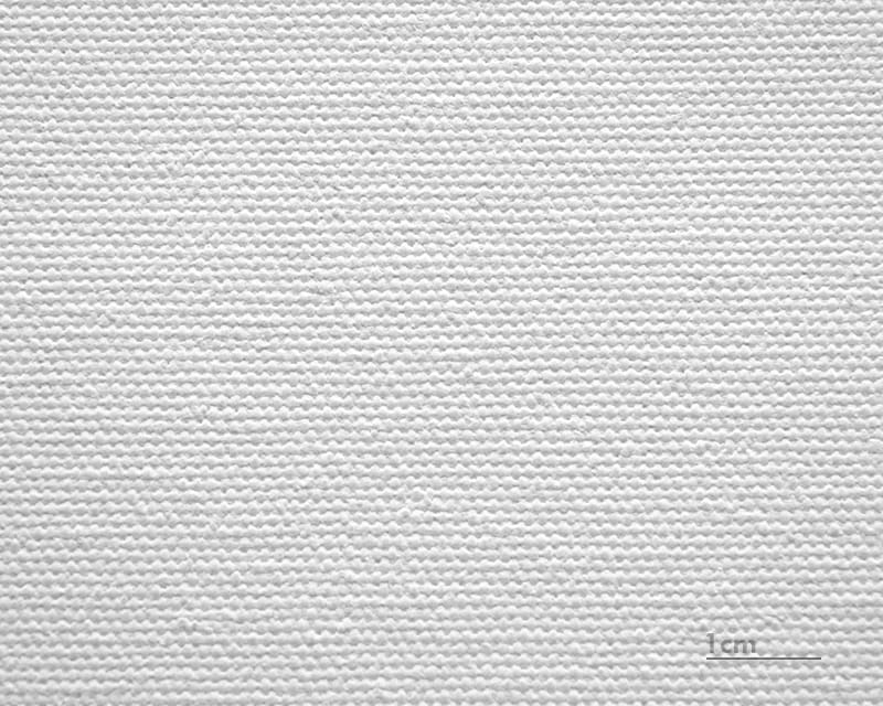 Lienzo Salvador (mate) (Canvas Florenz)  1
