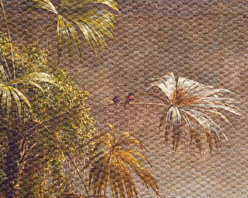 Lienzo Salvador (mate) (Canvas Florenz)  16
