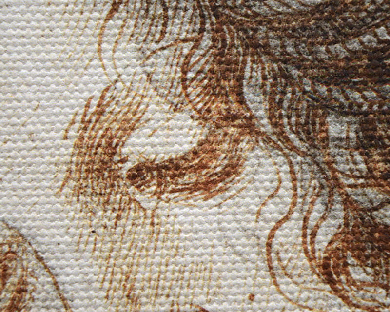 Lienzo Salvador (mate) (Canvas Florenz)  33