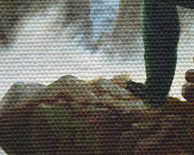 Lienzo Salvador (mate) (Canvas Florenz)  8