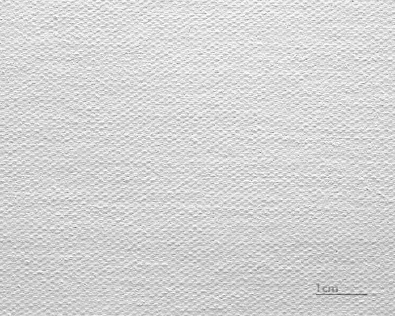 Lienzo Leonardo (satinado) (Canvas Venezia)  1