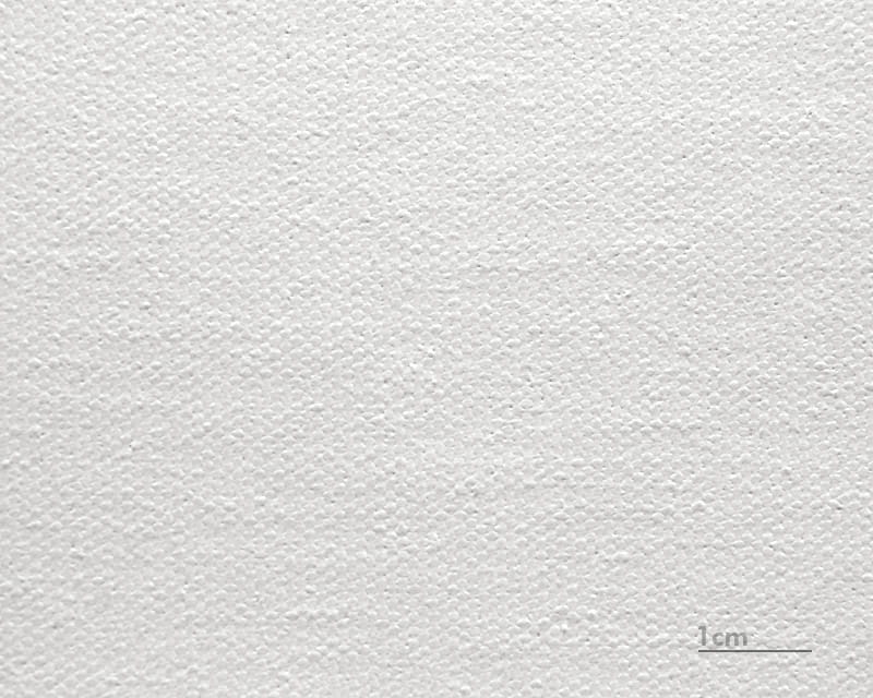 Lienzo Raphael (mate) (Epson Premium Canvas Matte)  1