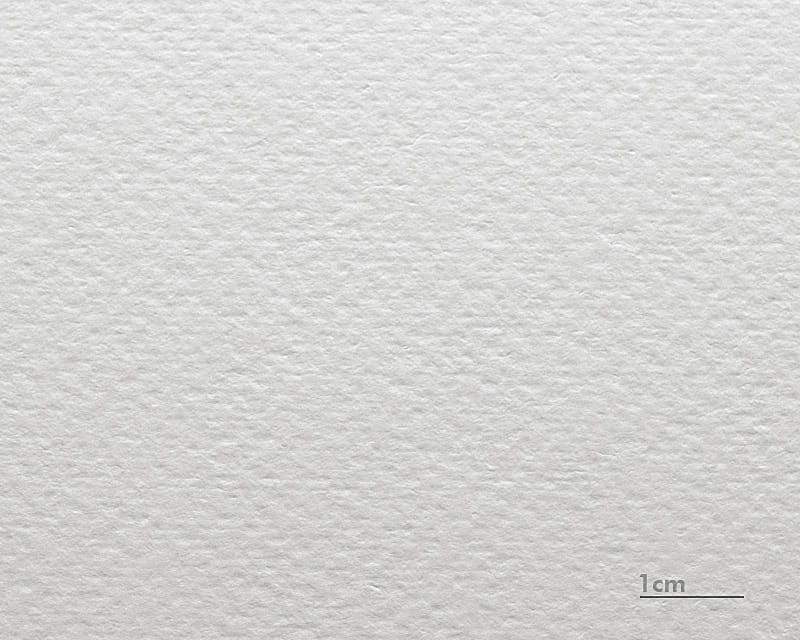 Acuarela Cartón Renoir (Museum Watercolor 310)  1