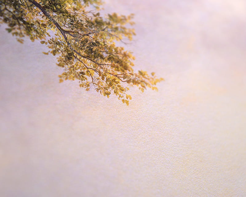 FineArt foto mate (Museum Natural Smooth)  25