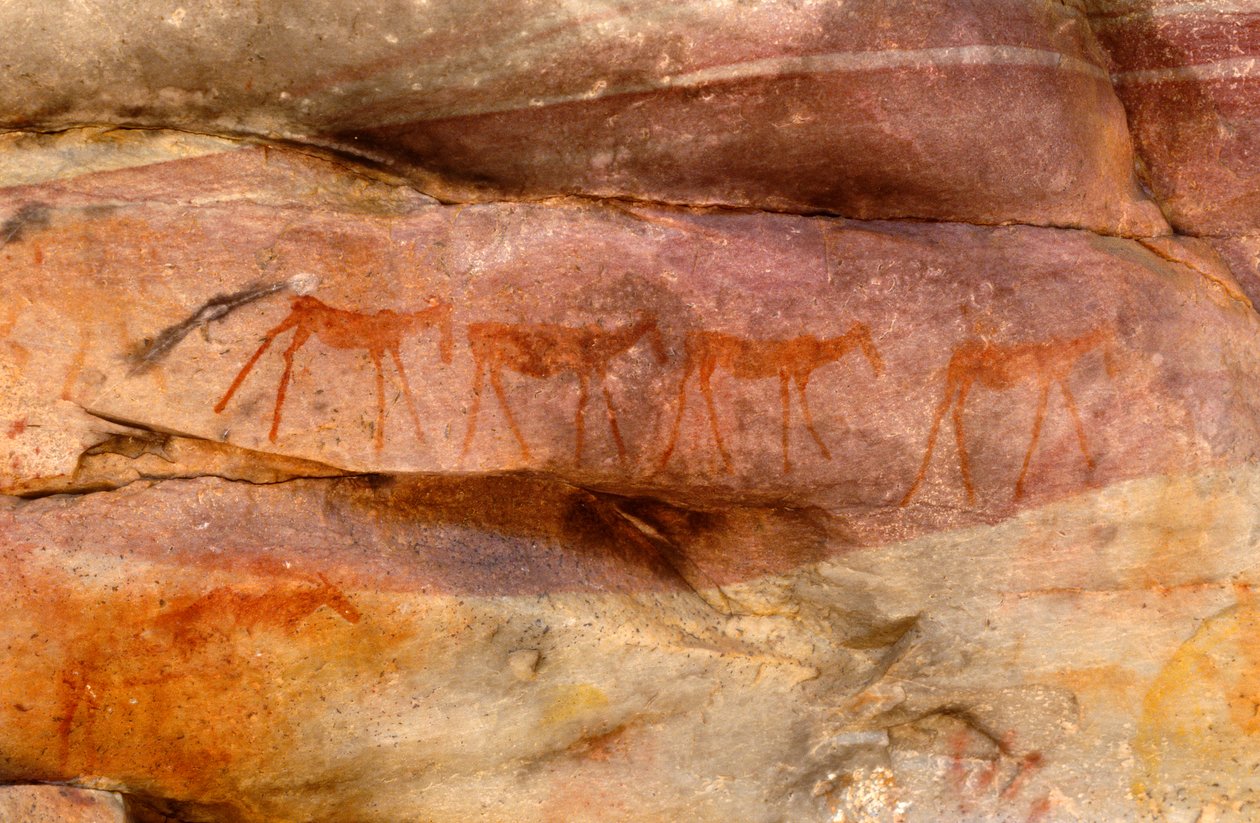 Pinturas rupestres de los bosquimanos, Cedarburg, Cabo Occidental de Unknown