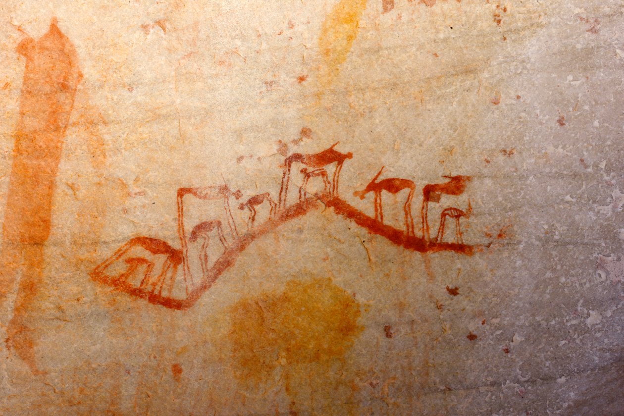 Arte rupestre San de Unknown