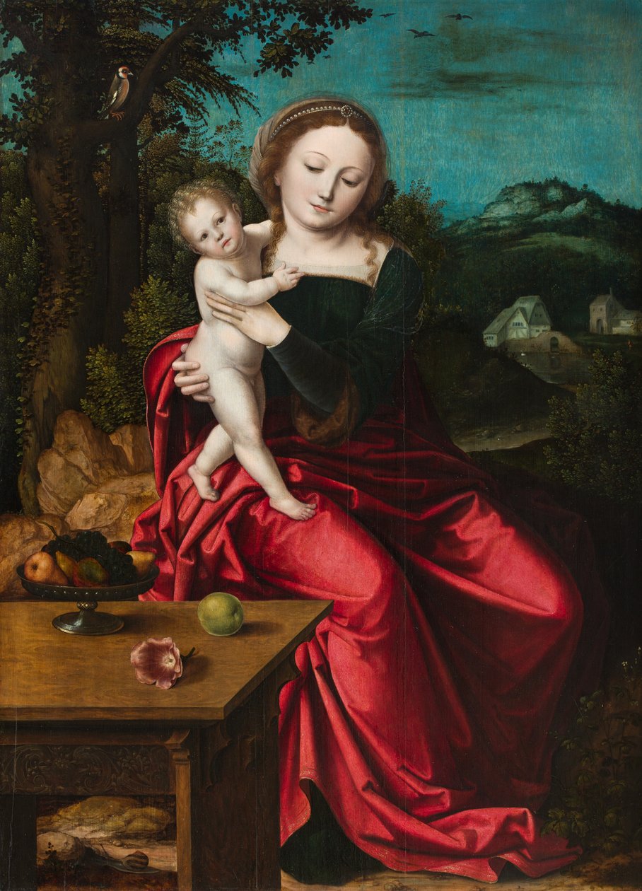 Madonna y el Niño, c.1515 de Master of the Parrot