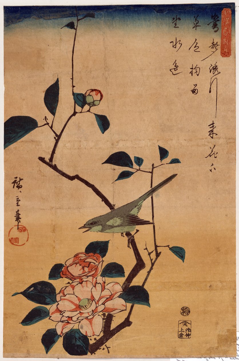 Tsubaki ni Uguisu (Camellia y Ruiseñor) de Utagawa Hiroshige