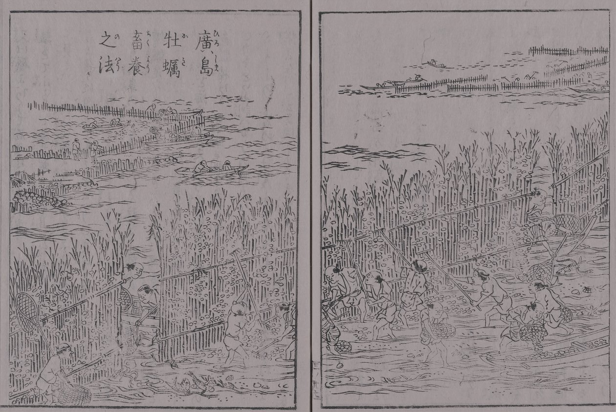 Nihon san kai meisan zue dai san kan Hiroshima botan Hiroshima botan chiku yō no hō de 蔀関月 Kangetsu