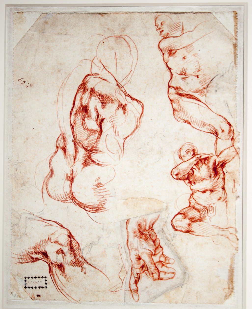 Estudio de la mano de Dios (La creación de Adán) de Michelangelo Buonarroti