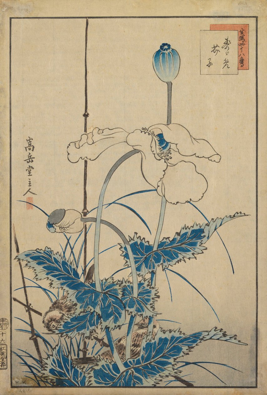 Pájaro sobre amapolas de Nakayama Sugakudo