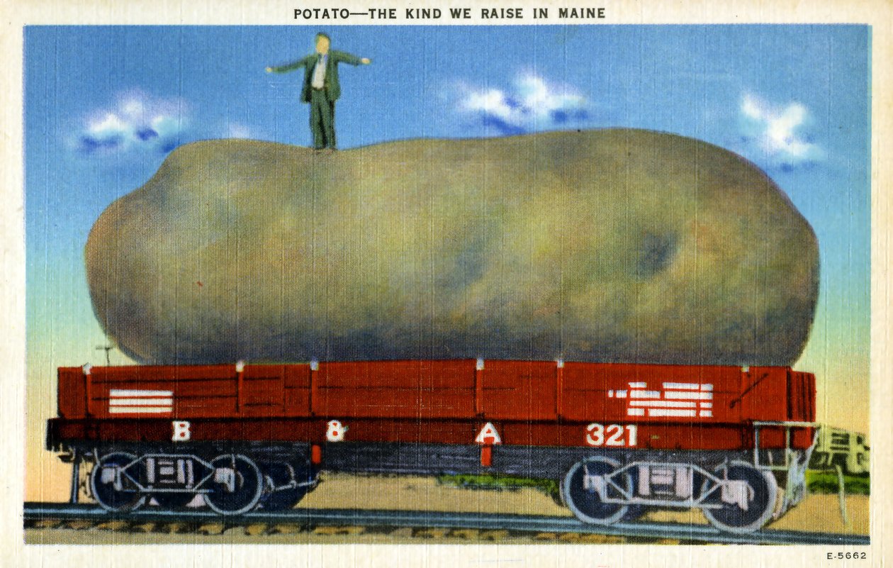 Postal de exageración vintage c.1940 de Unknown