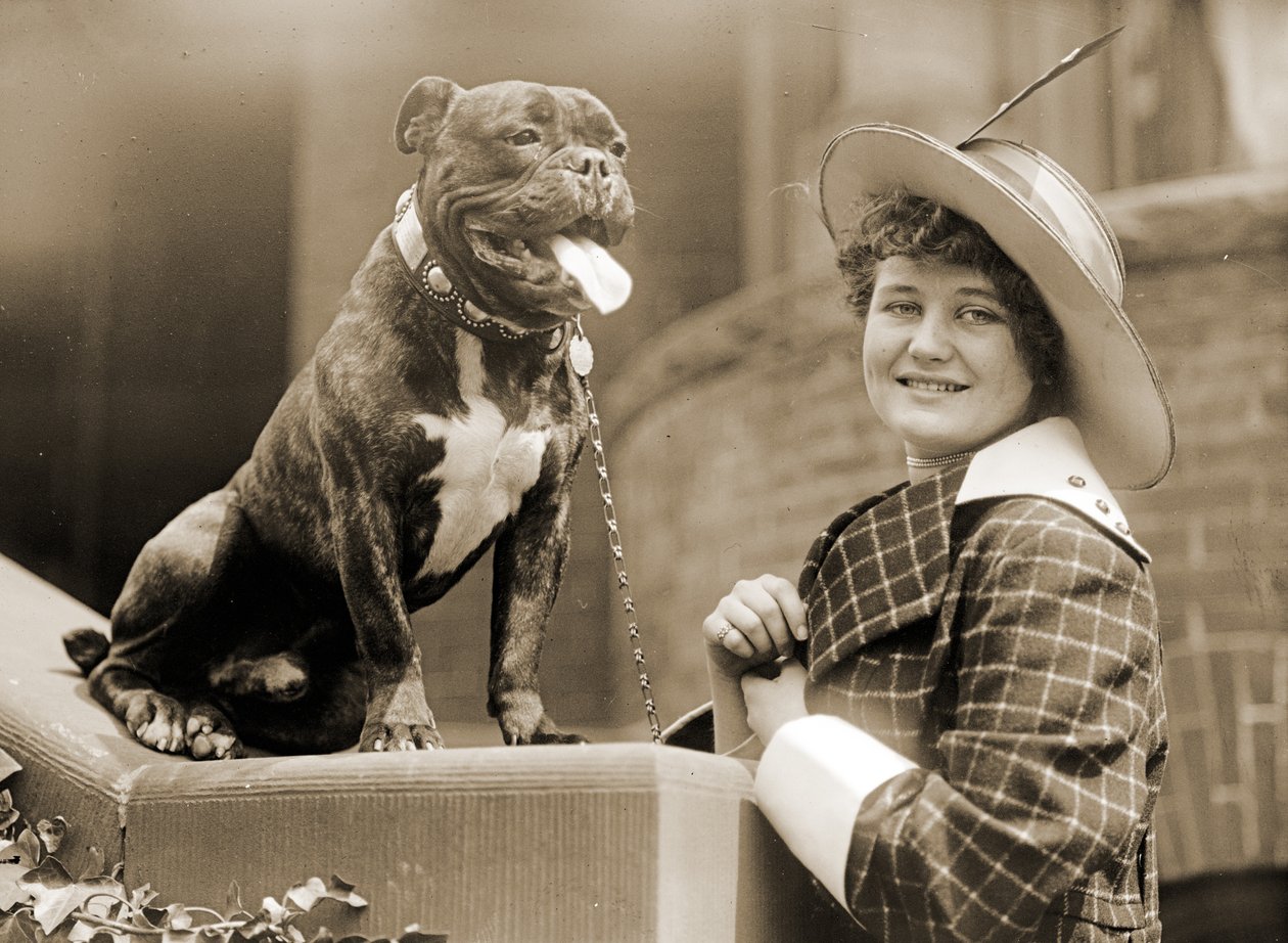 Niña y su Bull Terrier c.1915 de Unknown