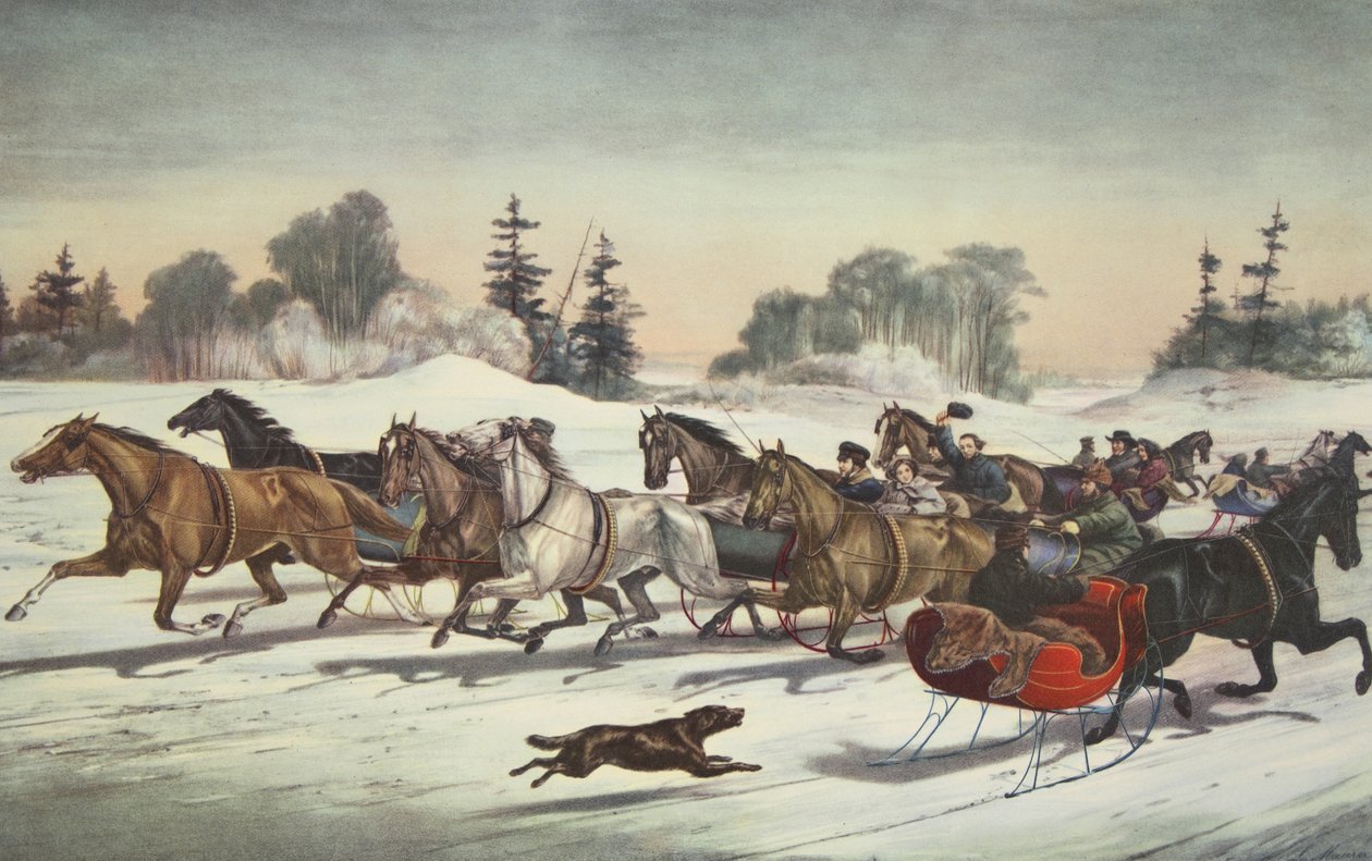 Trotones en la Nieve de American School