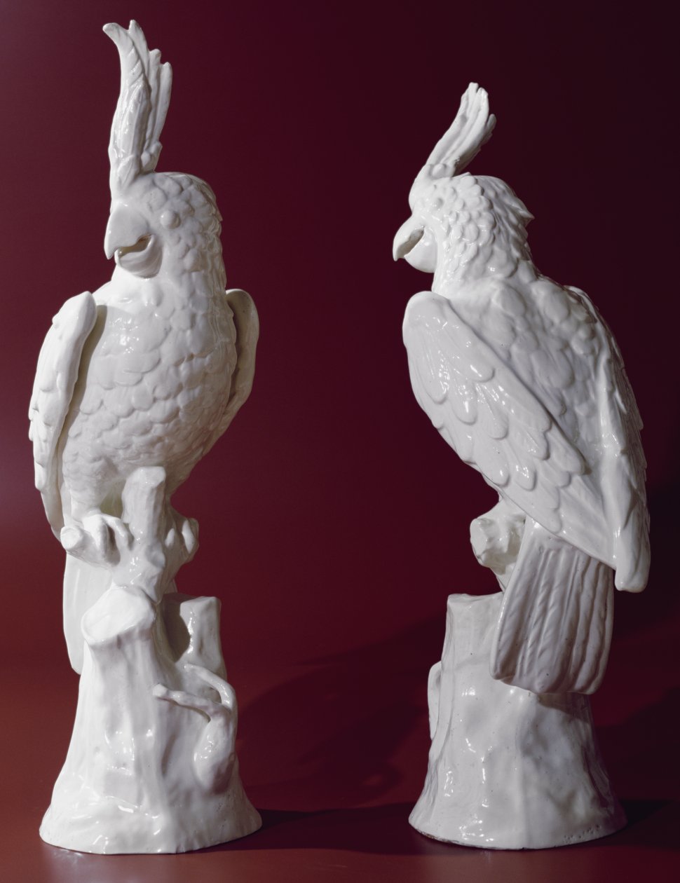 Par de loros de English School