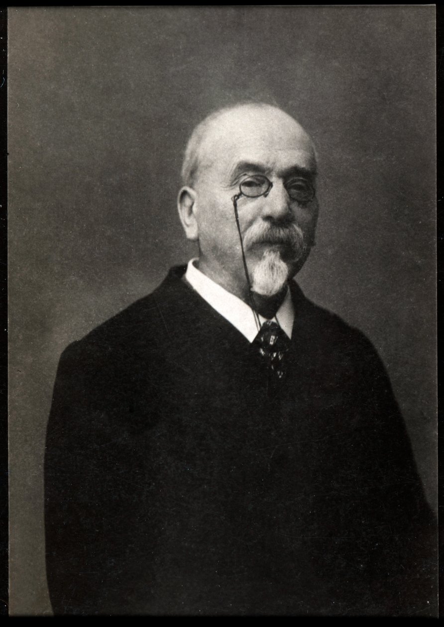 Retrato de Victor Cherbuliez (1829-1899), novelista y autor francés de French Photographer