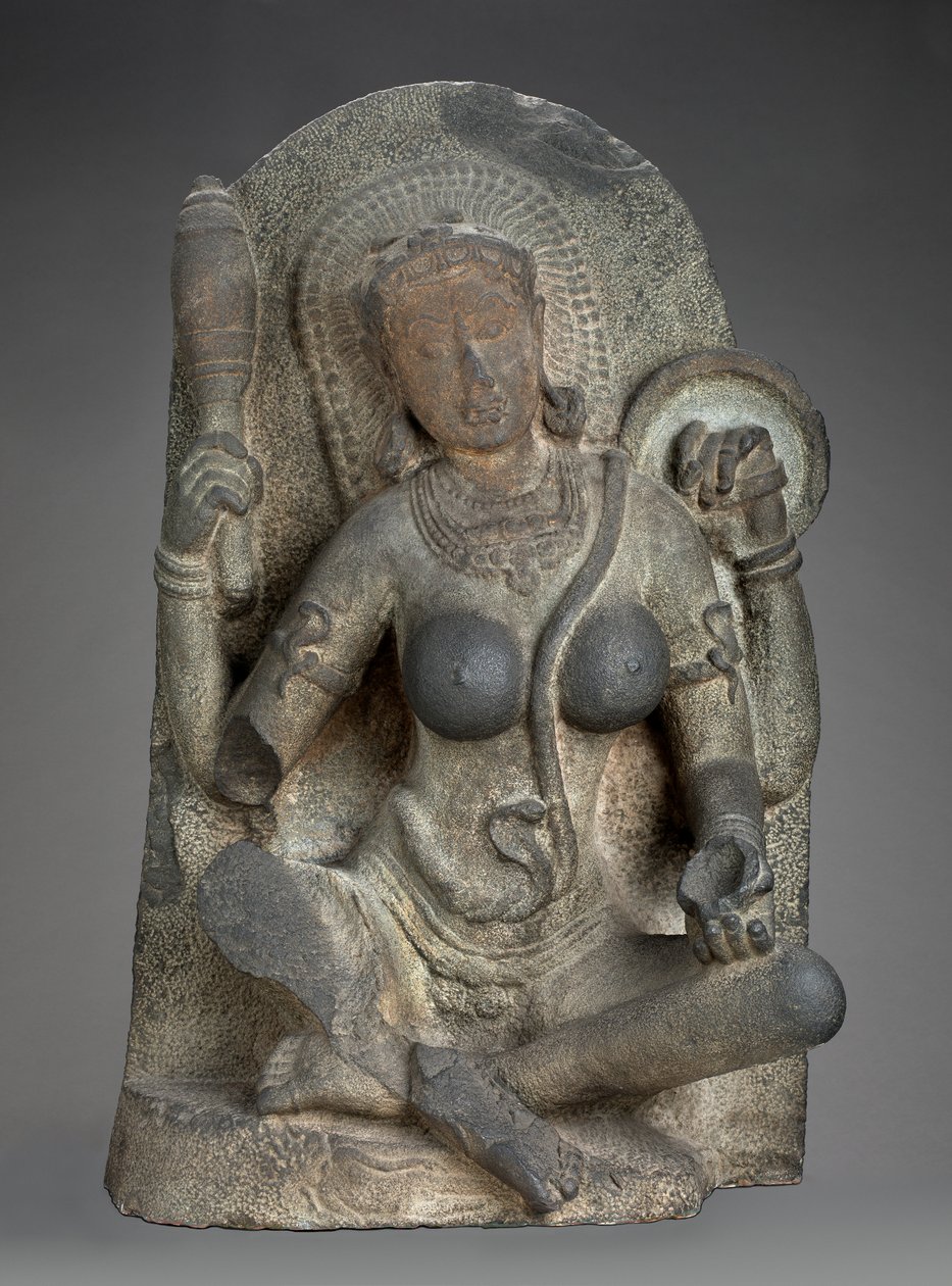 Yogini de Indian School