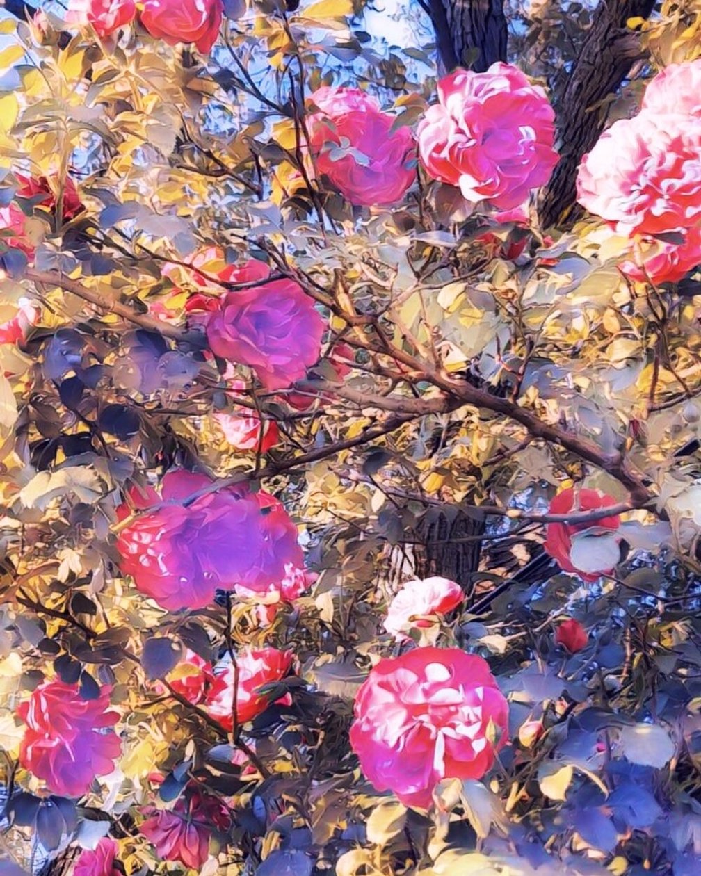 Rosas para la Virgen María. de Margareta Uliarte
