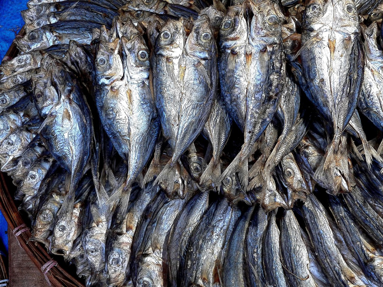Pescado seco de Detlef B. Fischer