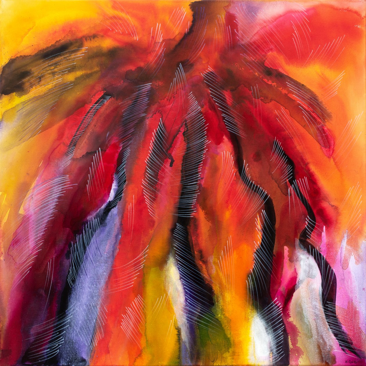 Medusa de fuego de H.Opitz