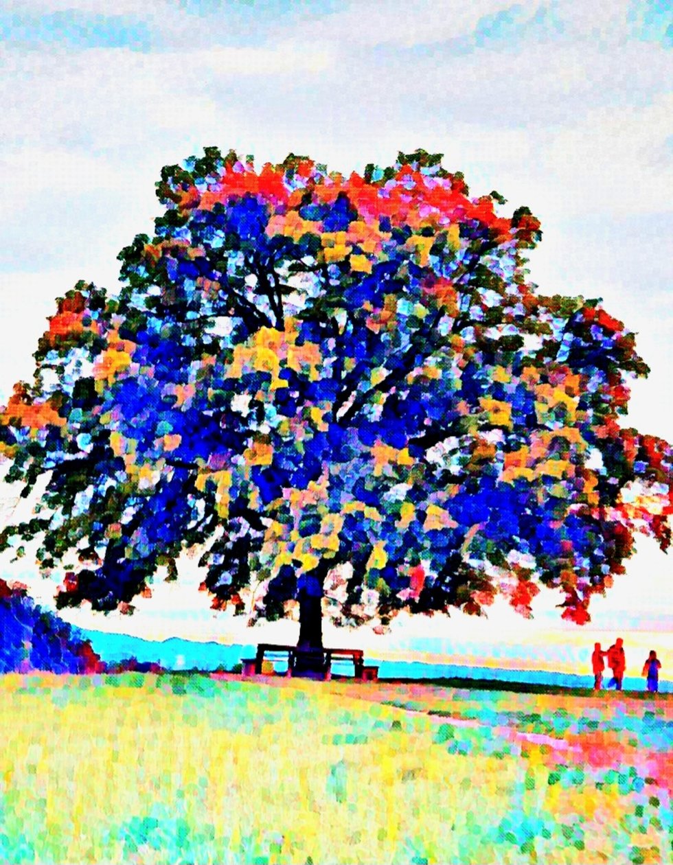 El Árbol Sagrado. Maria Plain. de Margareta Uliarte