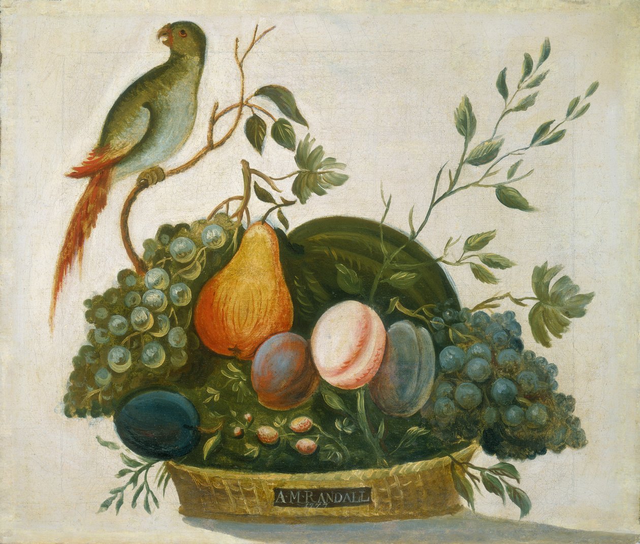 Cesta de frutas con loro de A.M. Randall