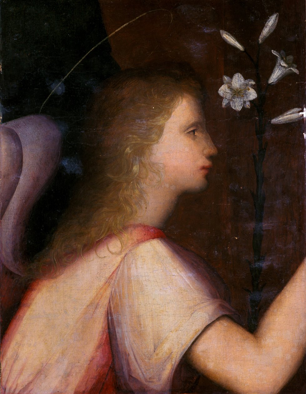 Arcángel Gabriel de A. 1485 c.1525 Piccinelli