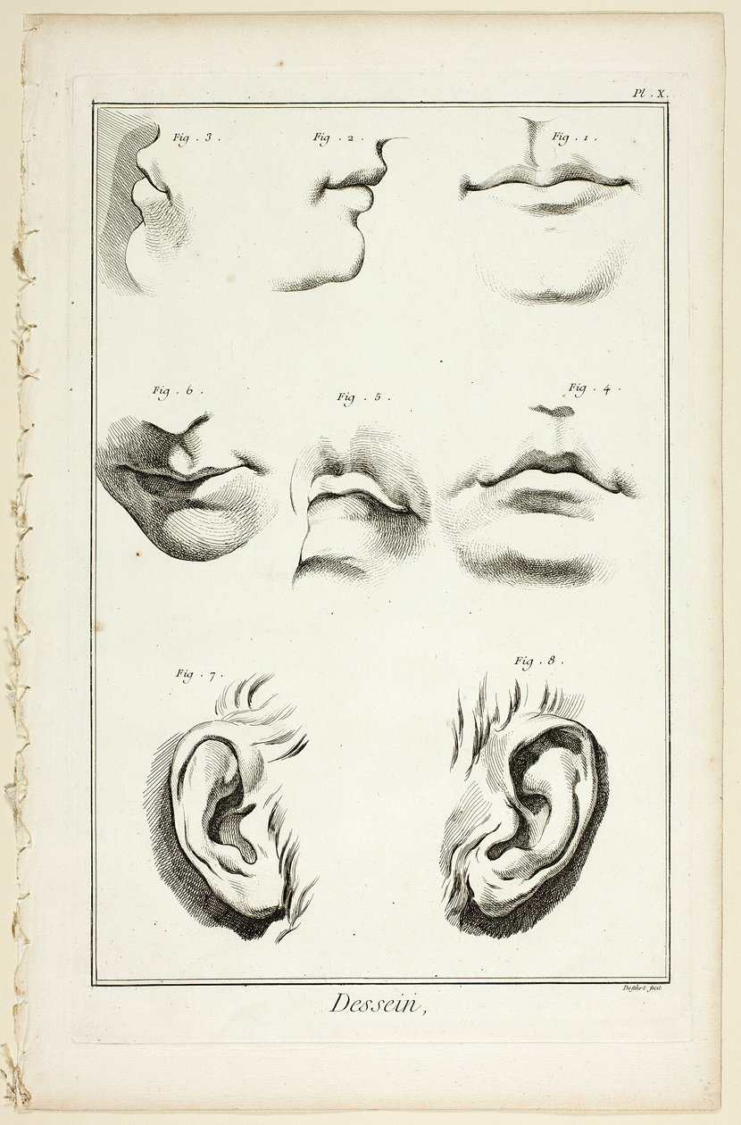 Diseño: Anatomía facial de la Encyclopédie de A. J. Defehrt