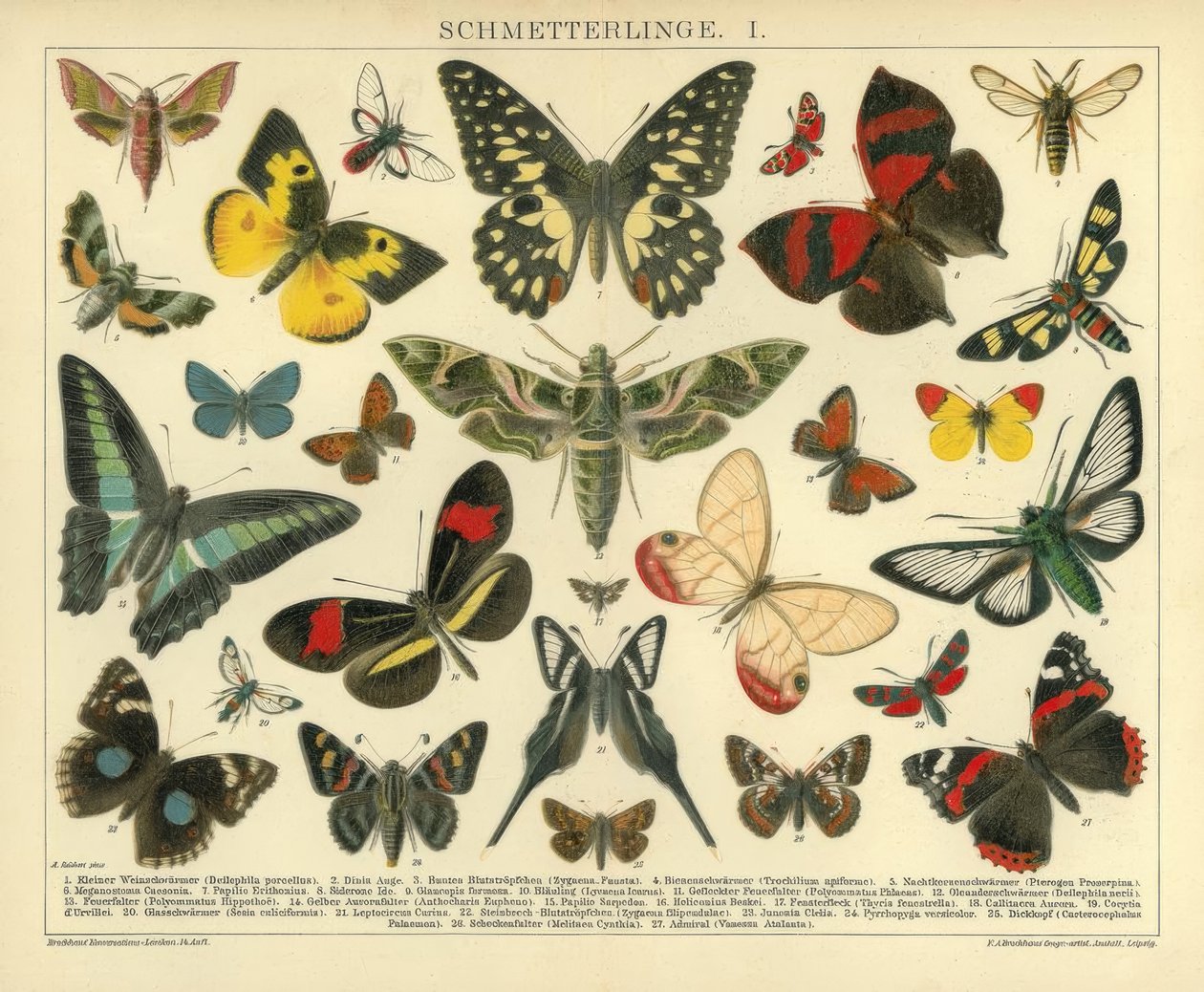 Mariposas. I. de A. Reichert