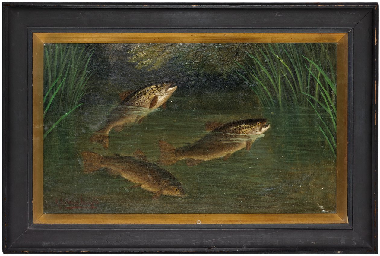 Trucha en un río de A. Roland Knight