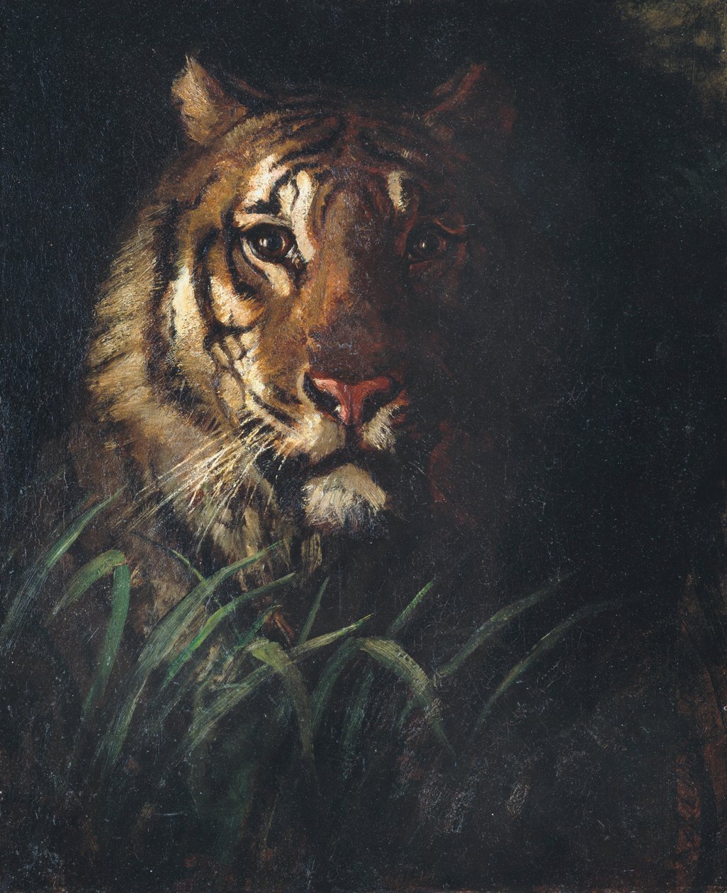 Cabeza de tigre, ca. 1874 de Abbott Handerson Thayer