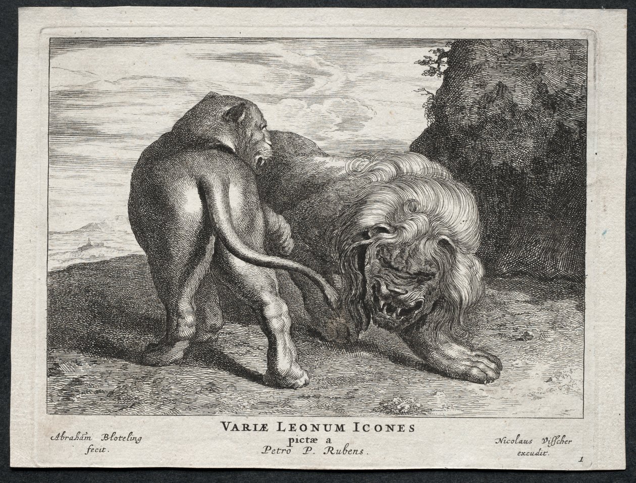 varios leones de Abraham Blooteling