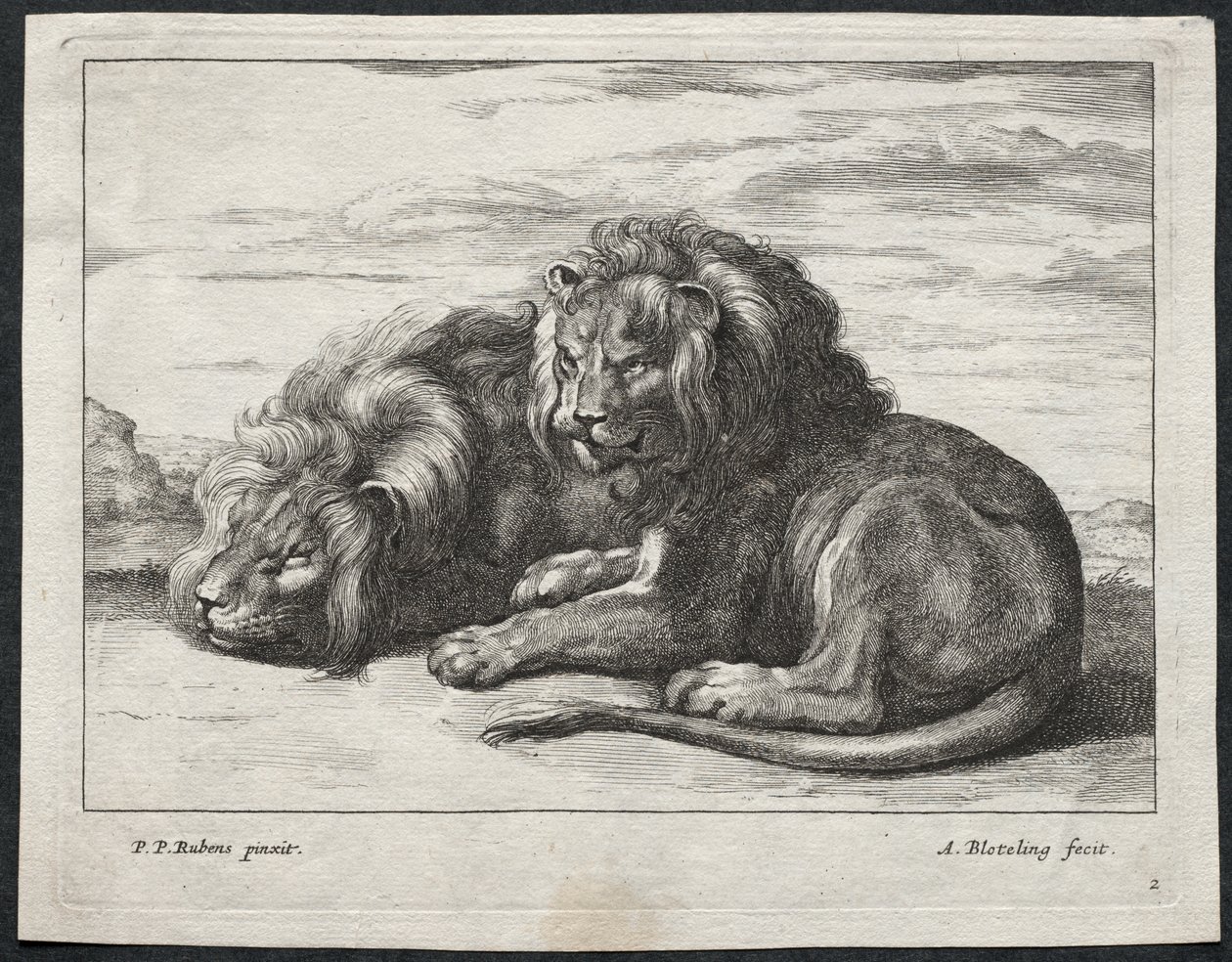 varios leones de Abraham Blooteling