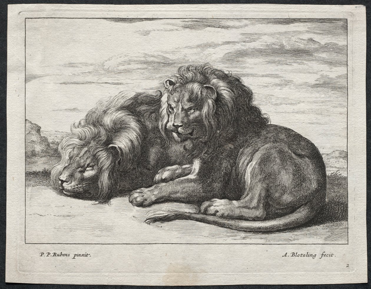 Varios leones de Abraham Blooteling