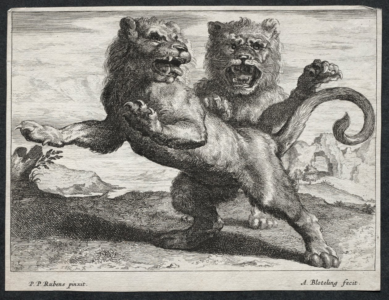 Varios leones de Abraham Blooteling