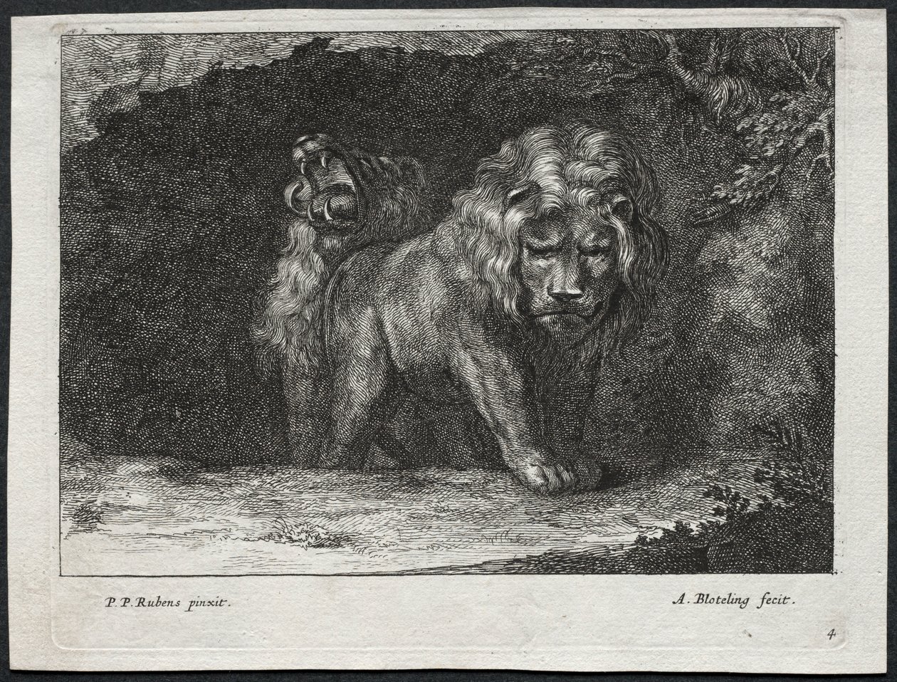 Varios leones de Abraham Blooteling