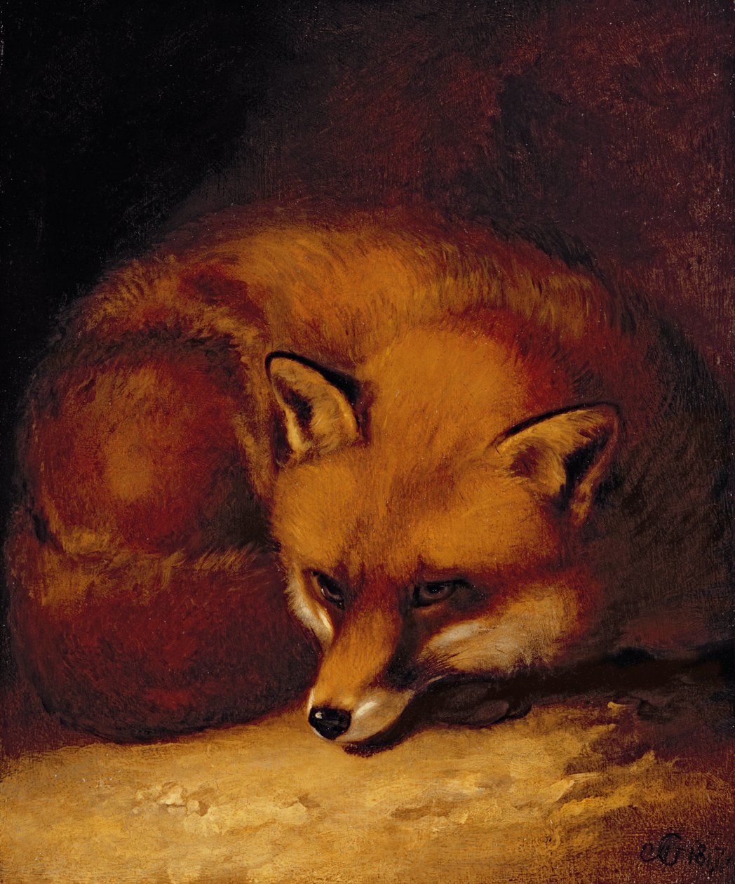 Un zorro de Abraham Cooper