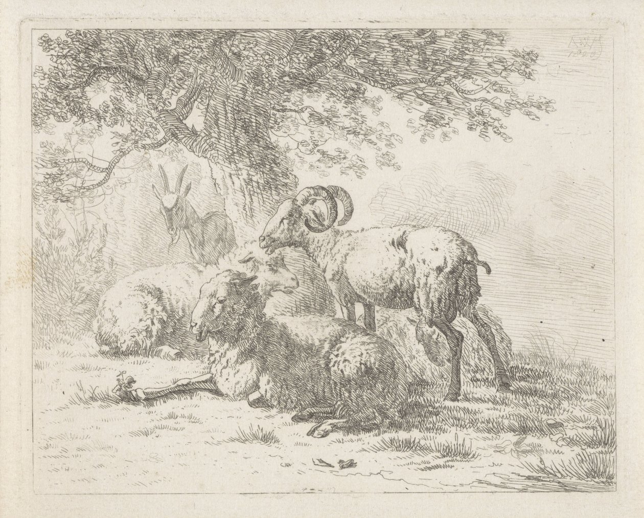 oveja y una cabra de Abraham Hendrik Winter