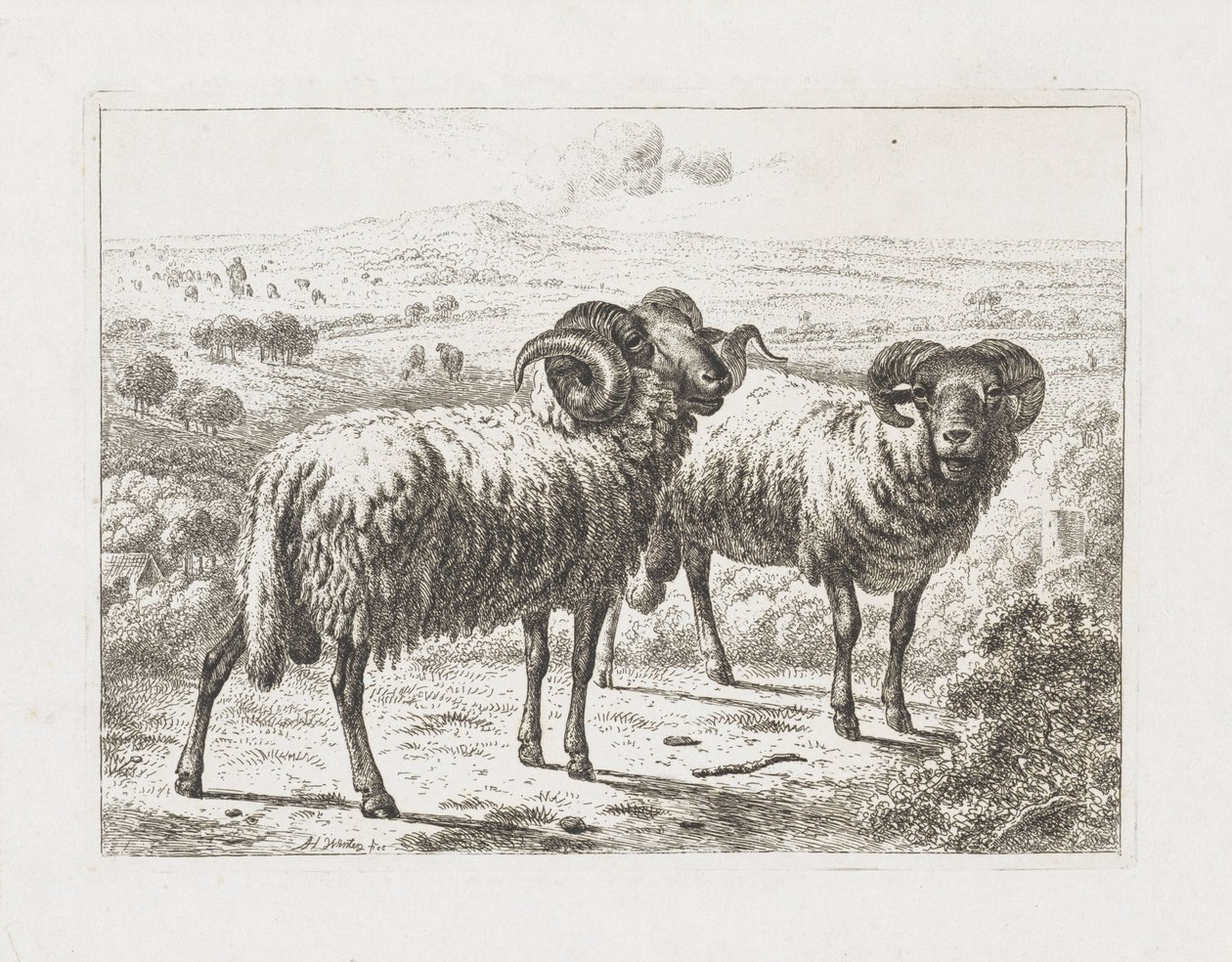 dos carneros de Abraham Hendrik Winter