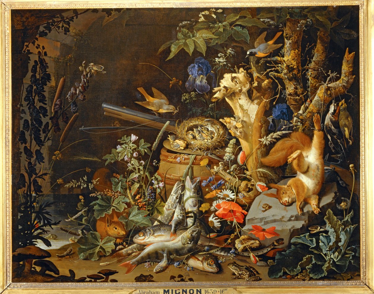 El nido de los pinzones ... de Abraham Mignon