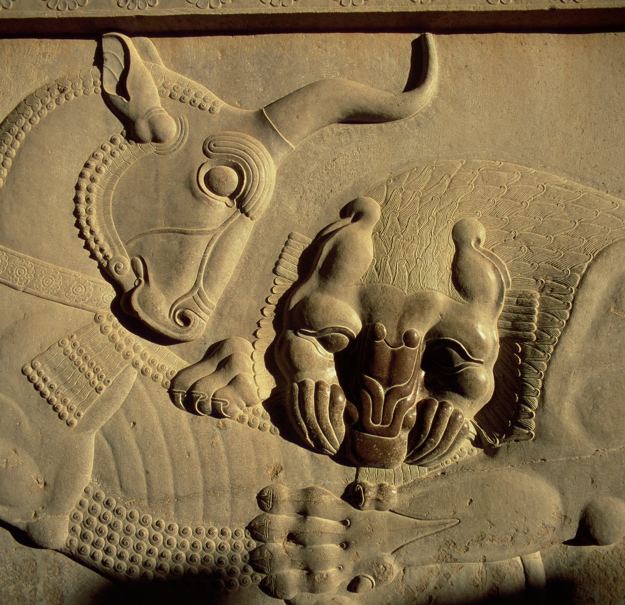 Un león feroz atacando a un toro, relieve de la fachada de la escalera norte del Tripylon, 500-480 a.C. de Achaemenid
