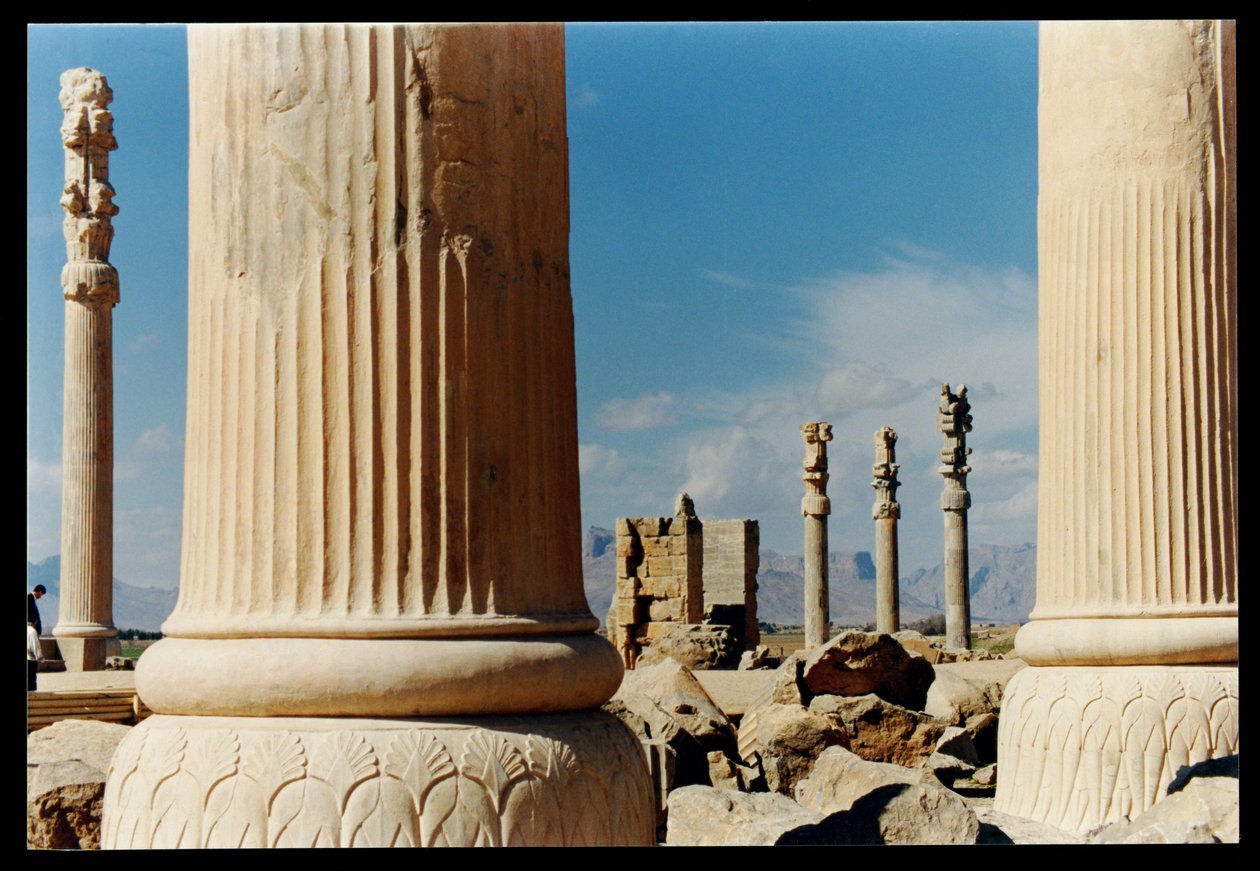 Columnas del pórtico oriental de la Apadana, c.500-480 a.C. de Achaemenid