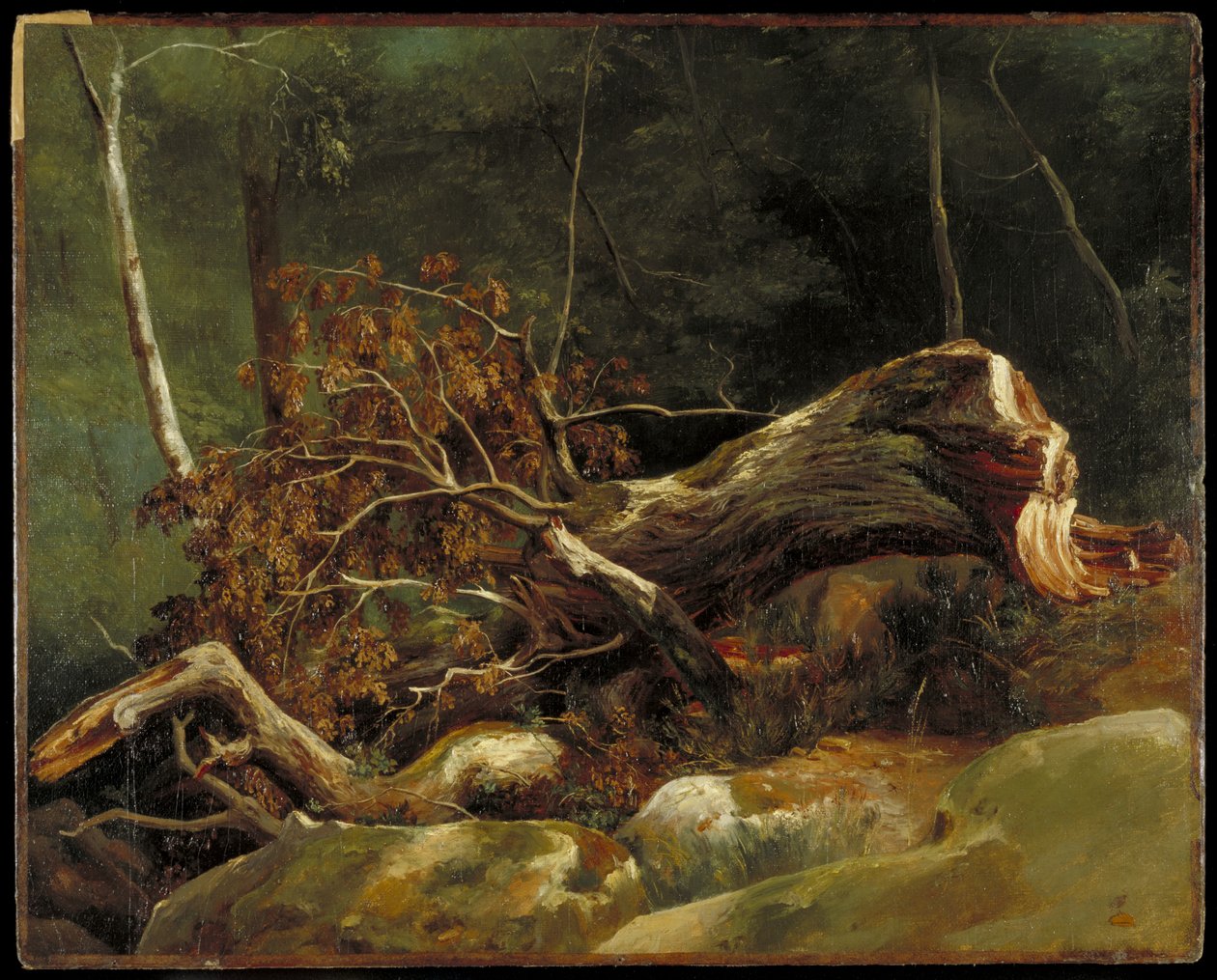 La rama caída, Fontainebleau, c.1816 de Achille Etna Michallon