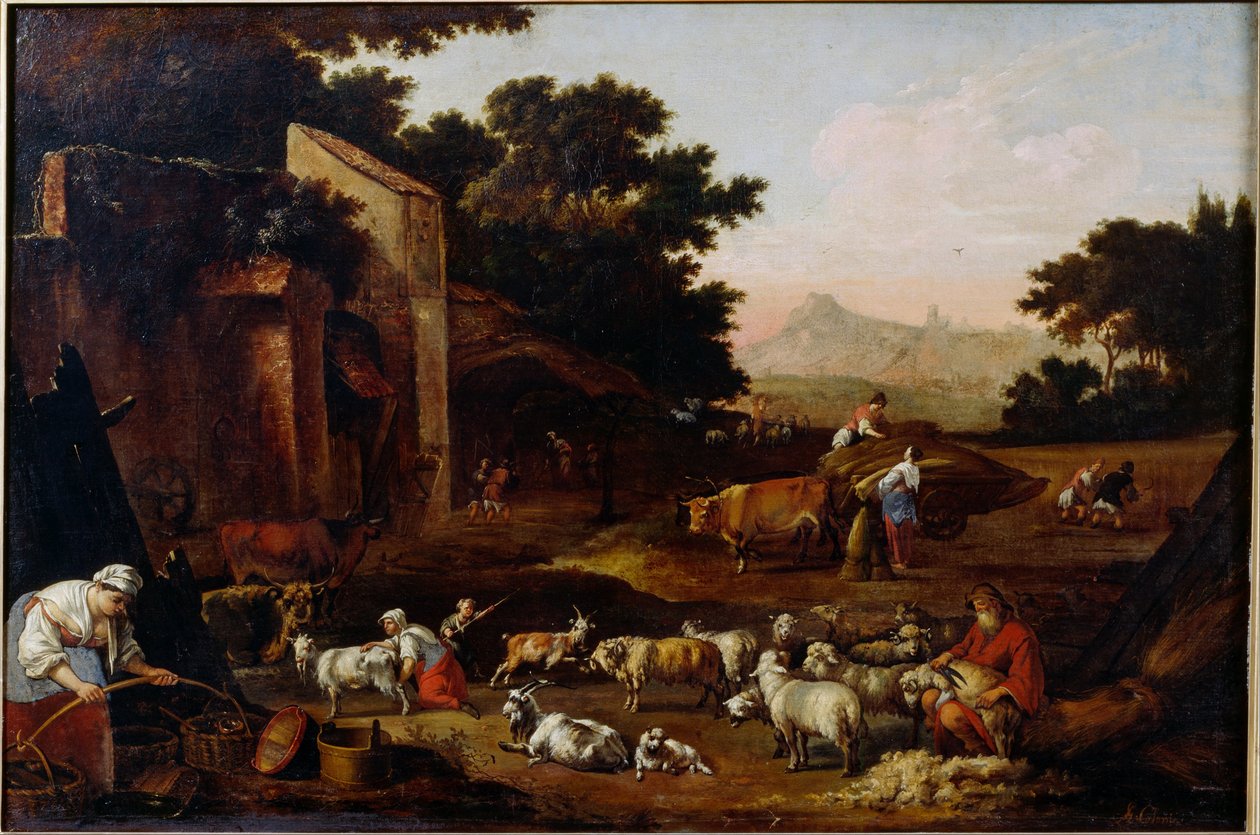 Esquila de ovejas de Adam Colonia