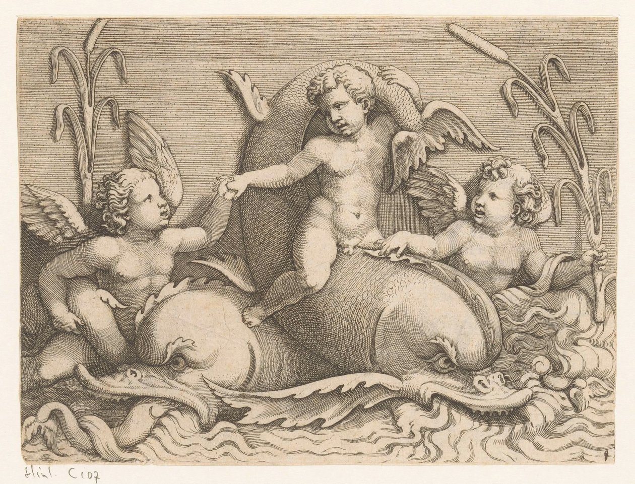 Tres amorcillos con delfines de Adamo Scultori